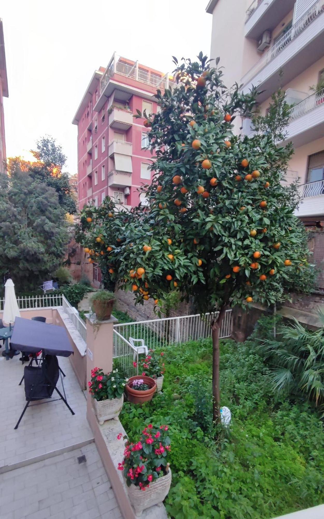 Vatican Green Garden Рим Екстер'єр фото