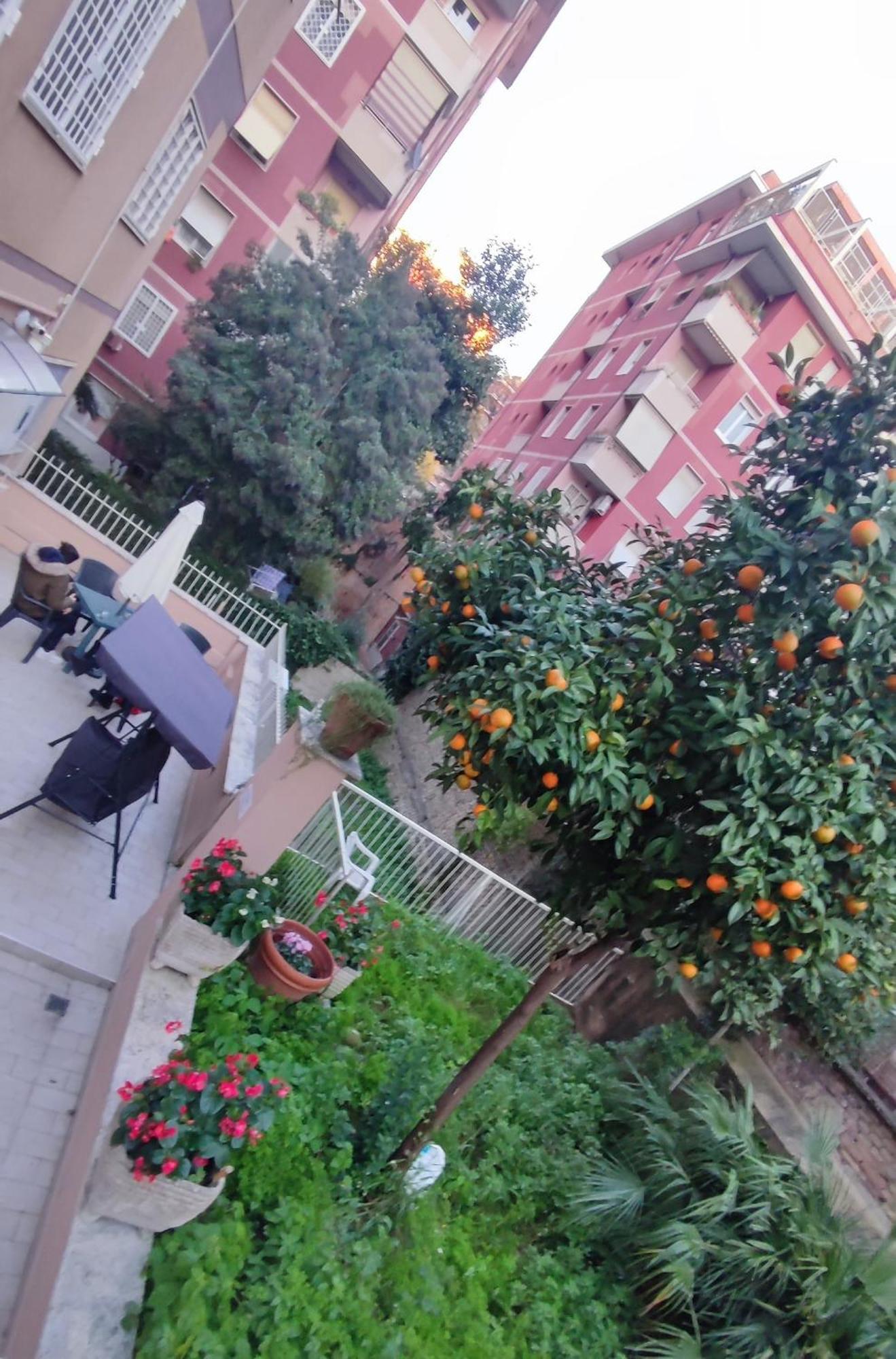 Vatican Green Garden Рим Екстер'єр фото